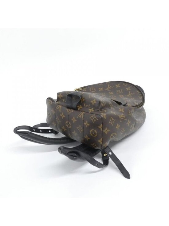 Louis Vuitton Monogram Palm Springs Backpack PM Rucksack Sac main image 9